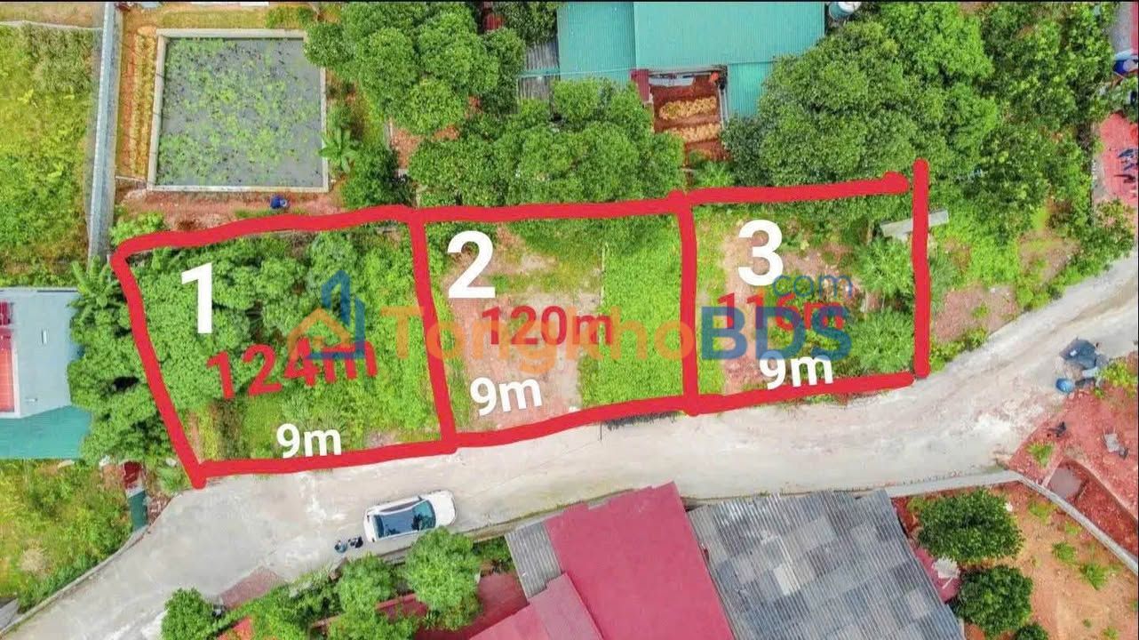 Đất nền Yên Dũng, Bắc Giang 120m² - Sổ đỏ thổ cư, giá chỉ 1.6 tỷ