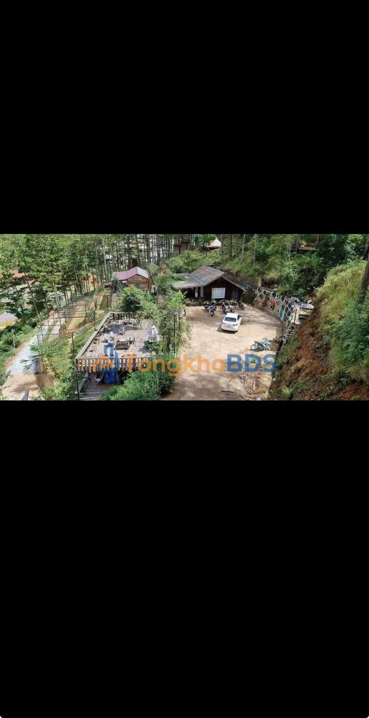Farm Homestay Rừng Thông Đà Lạt 5000m² Sổ Hồng - Vừa Ở Vừa Kinh Doanh