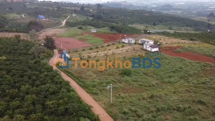 Đất nền Lâm Hà Lâm Đồng 1048m² 1,3 tỷ - Sổ đỏ chính chủ