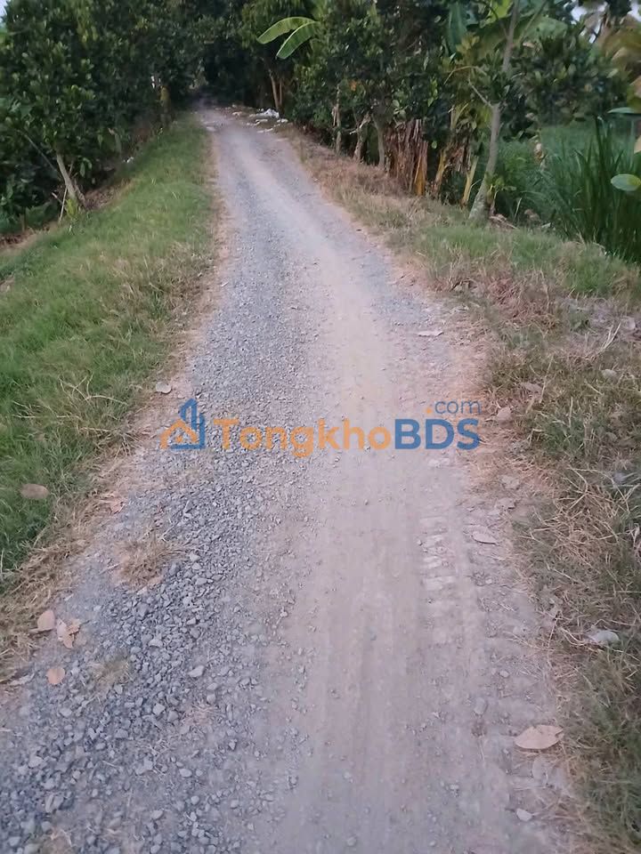 Đất nền Bình Tân Thanh Bình 10.000m² 1.8 tỷ - Sổ đỏ chính chủ