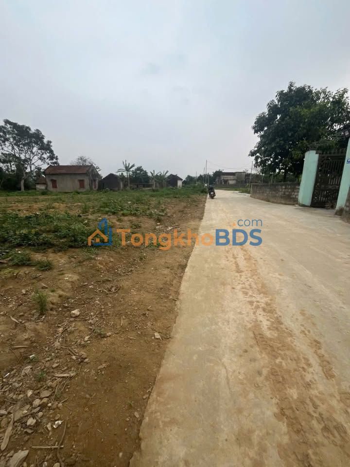 Đất nền Triệu Sơn 117m² 2xx triệu - Sổ đỏ chính chủ