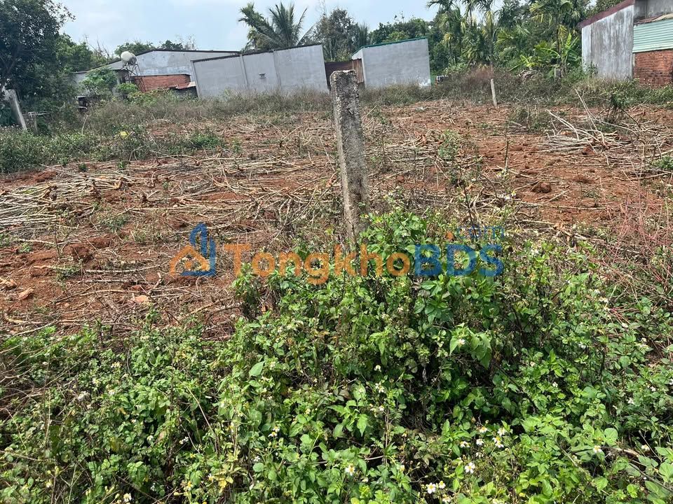 Đất nền Buôn Komleo 469m² 170tr/m - Sổ đỏ chính chủ