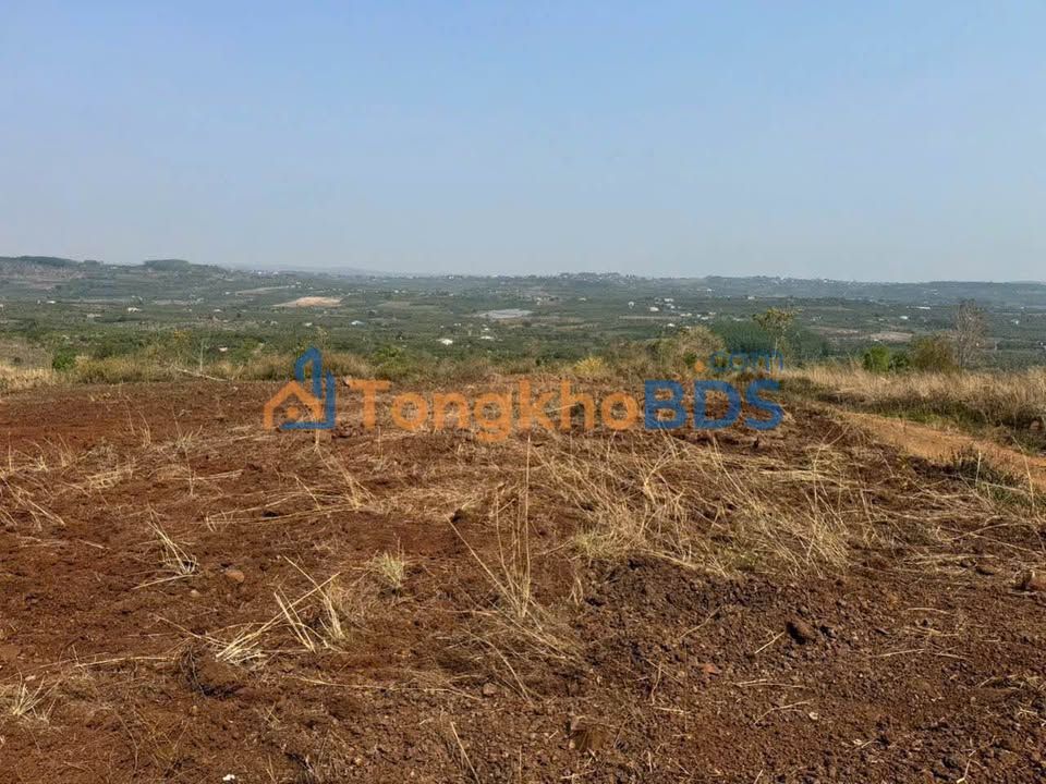 Đất nền xã Đắk Rla 1,6ha 880tr - Sổ đỏ chính chủ