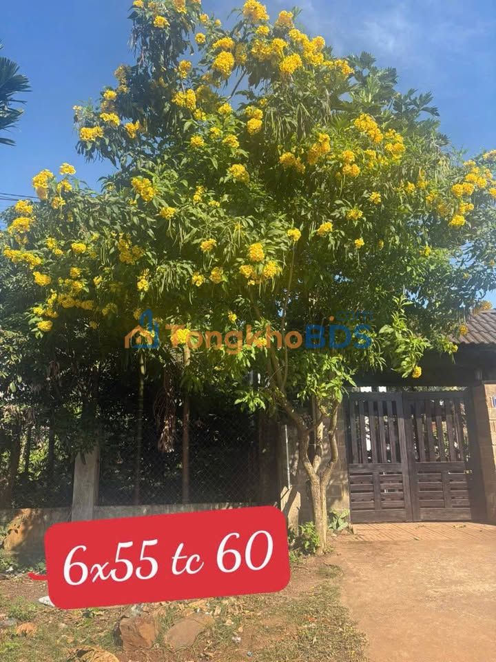 Đất nền Đường D4 Ea Tu 330m² 2.75 tỷ - Sổ đỏ chính chủ