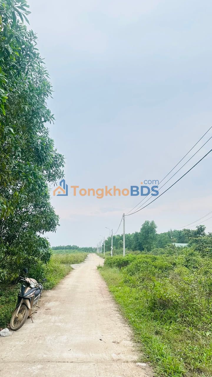 Đất Phong Mỹ, Phong Điền 425m² 800-899 triệu - Sổ đỏ chính chủ