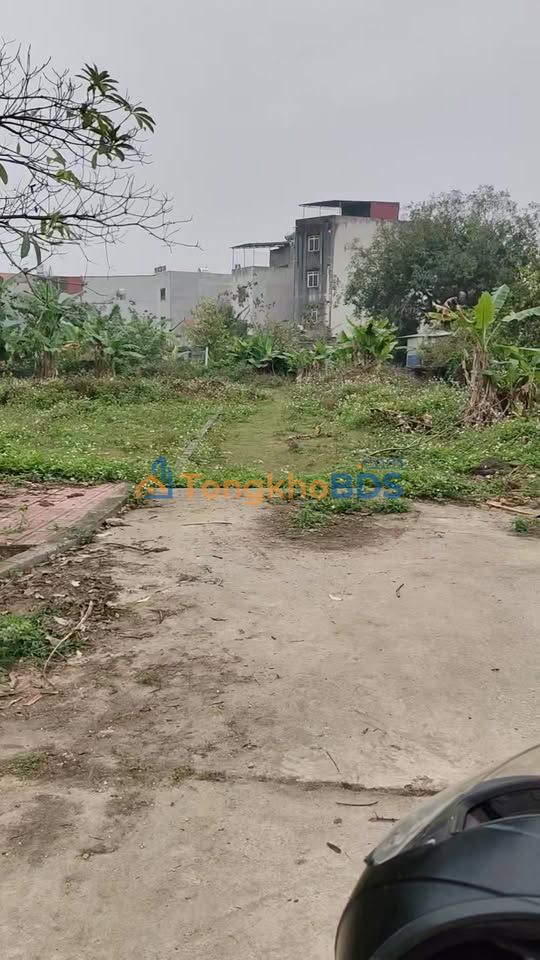 Đất Vàng Từ Sơn, Bắc Ninh 600m² - Giá Đầu Tư Hơn 2 Tỷ