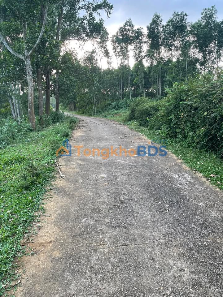 Bán đất 234m² Hương Khê, Hà Tĩnh - Giá 6xx triệu, Lối 2 Hàm Nghi