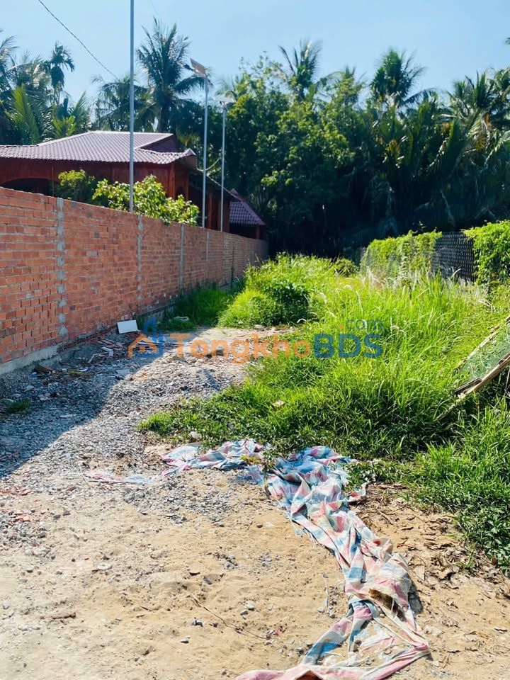 Đất nền Xuân Đông Chợ Gạo 193m2 380 triệu - Sổ đỏ chính chủ