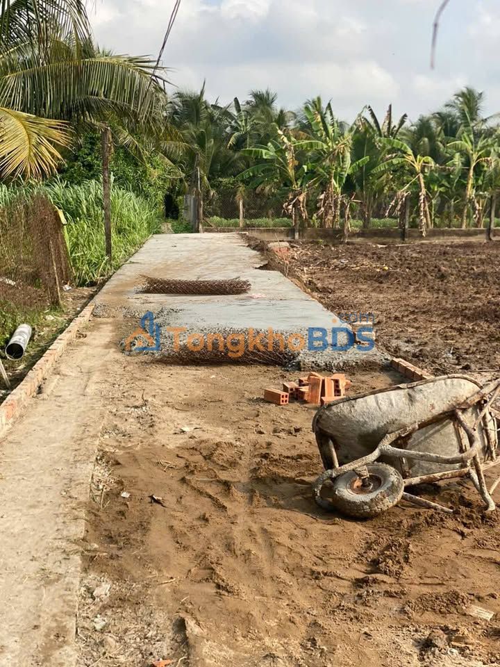 Đất nền Cửu Hòa Tiền Giang 125m² 480-580 triệu - Sổ đỏ chính chủ