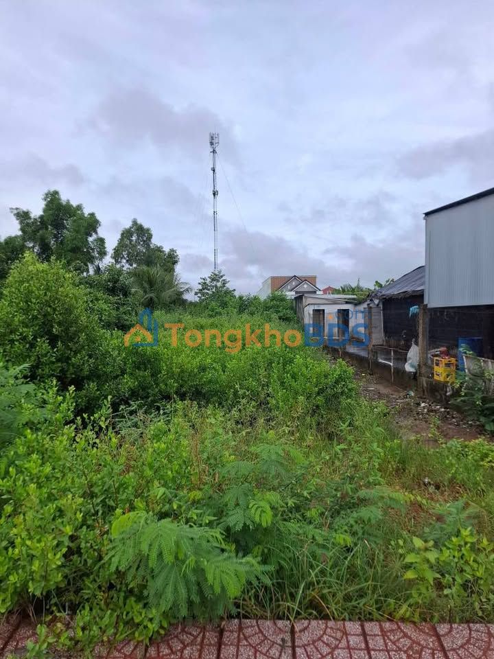 Đất nền Ngô Quyền Bạc Liêu 650m² 2.5 tỷ - Xây dựng tự do