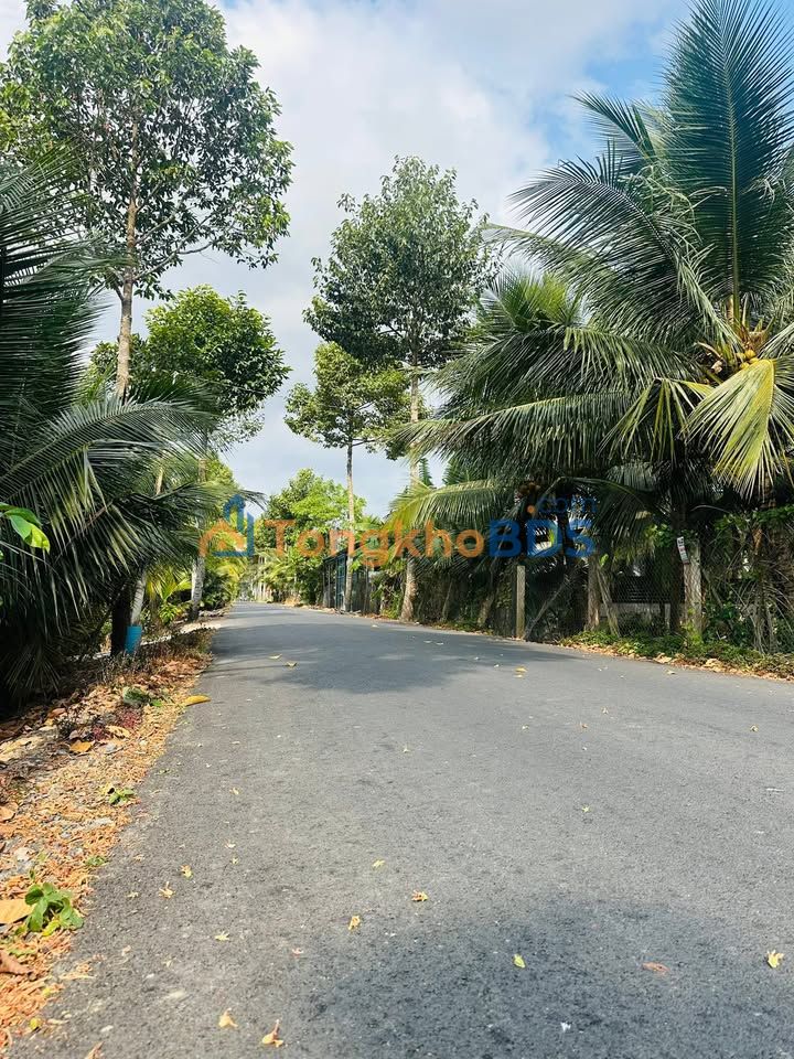 Đất nền Mỹ Phong Mỹ Tho 195m² 1 tỷ - Đường to ô tô