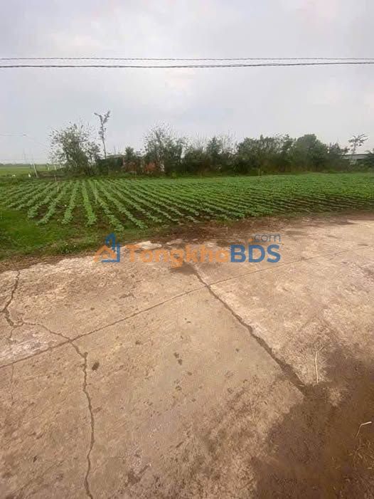 Đất nền Bảo Quang Long Khánh 900m² 1,5 tỷ - Đường to ô tô