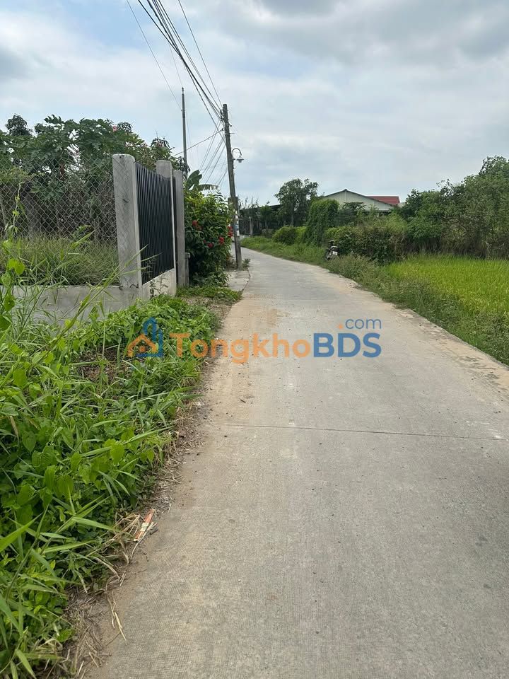 Đất nền Nhựt Chánh Bến Lức 99m² 550 triệu - Thổ cư 100%