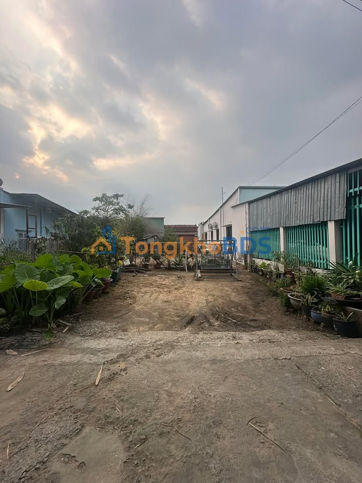 Đất Nguyễn Chí Thanh Hiệp An 116m² 1,4 tỷ - Sổ đỏ chính chủ