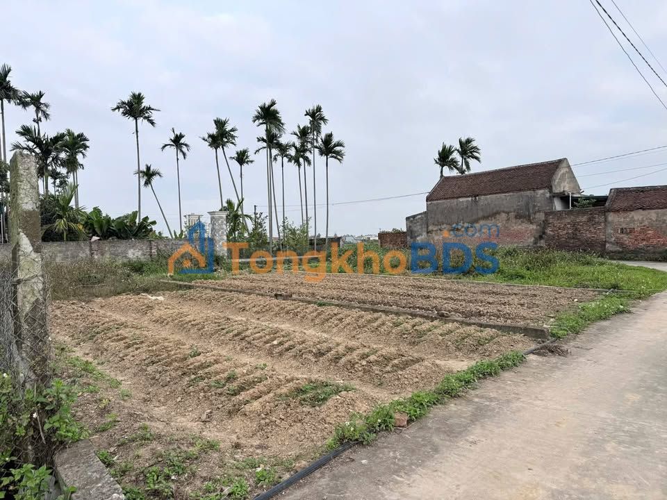 Đất nền Tân Hưng Vĩnh Bảo 85m² - Đường to ô tô