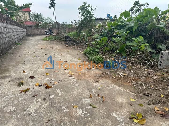 Đất nền Hòa An Thái Thụy 100m² 3xx triệu - Đường ô tô rộng