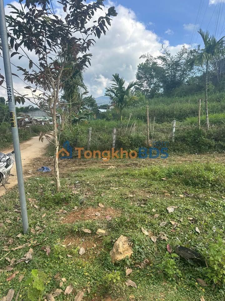 Đất Nền Quảng Nam 3000m² Mặt Tiền Bê Tông Giá 1 Tỷ - Cơ Hội Đầu Tư Vàng