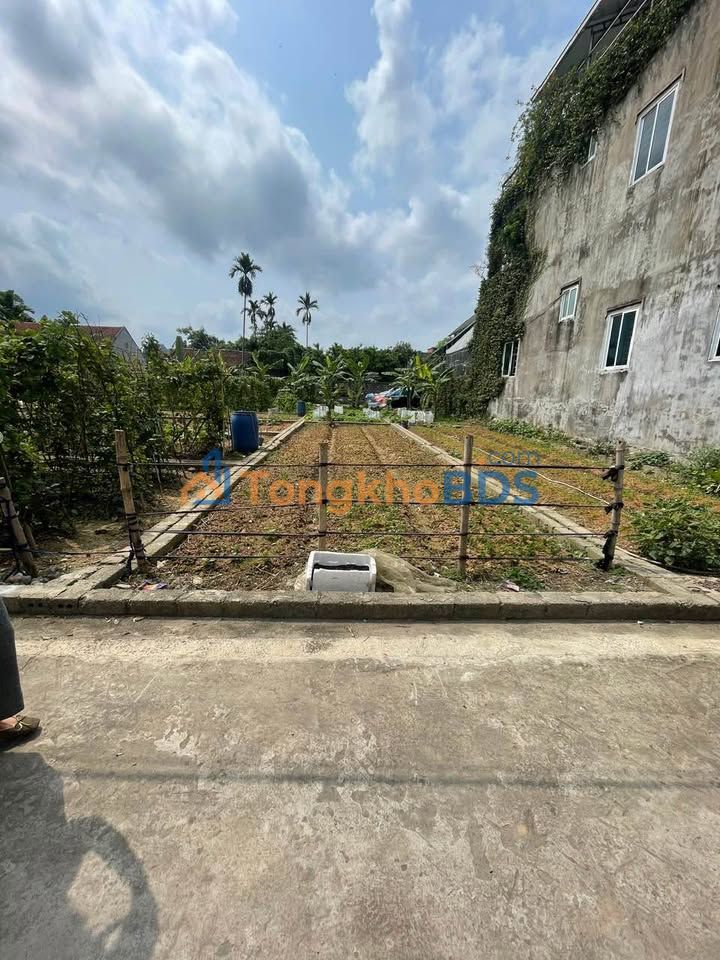 Đất nền Vân Côn Hoài Đức 60m² 600 triệu - Sổ đỏ chính chủ