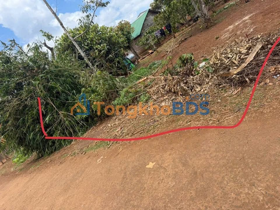 Đất Vườn 4900m² Đắk Lắk - Gần Trường Nơ Trang Lơng, Giá Đầu Tư 6xx Triệu