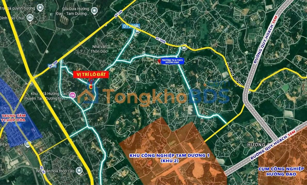 Đất Tam Dương 112-146m² 784 triệu - Sổ đỏ chính chủ