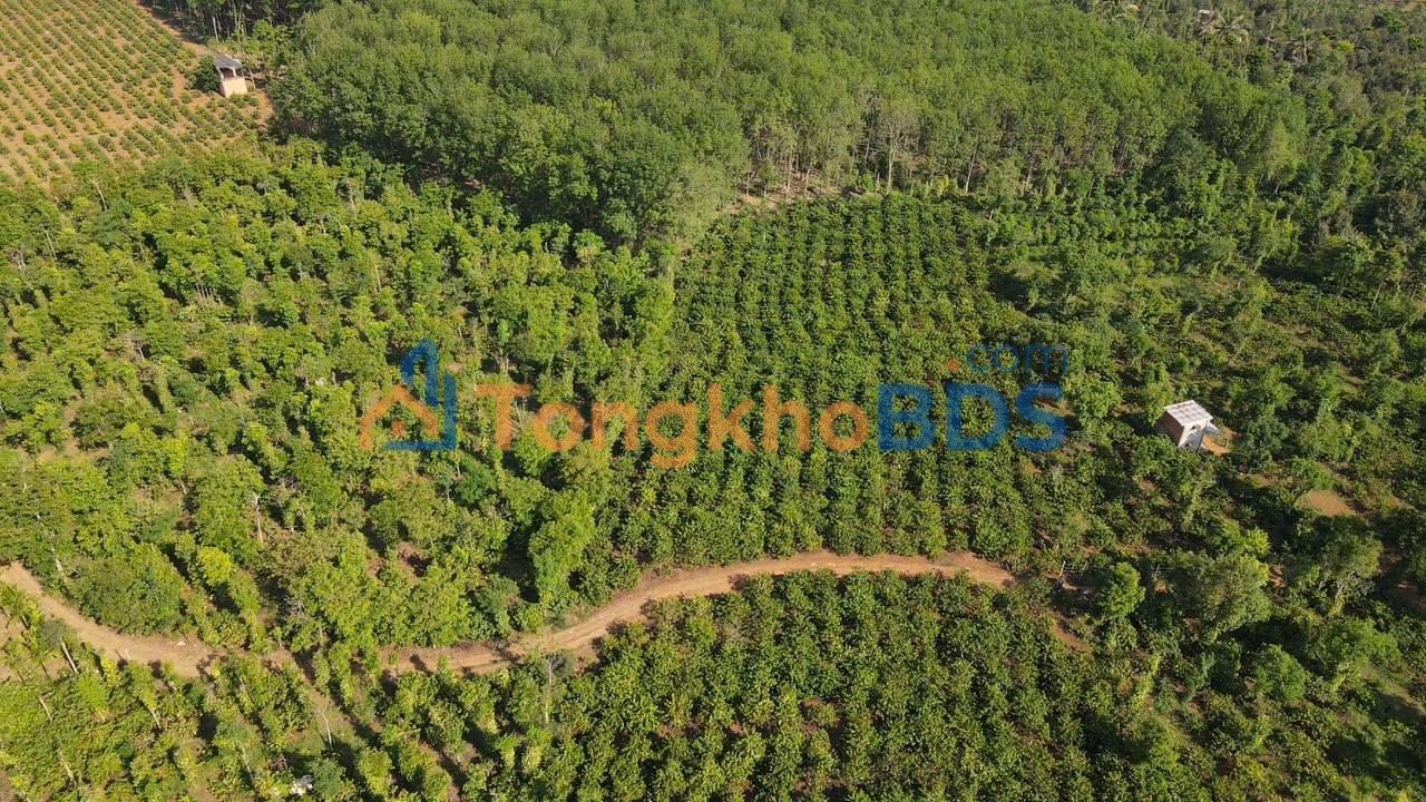 Đất nền Ea Na 1512m² 1,344 tỷ - Đầu tư dài hạn