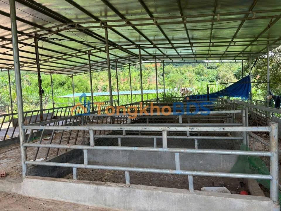 Đất nền Ea Drăng Ea H'leo 4ha 16.111 tỷ - Đường to ô tô