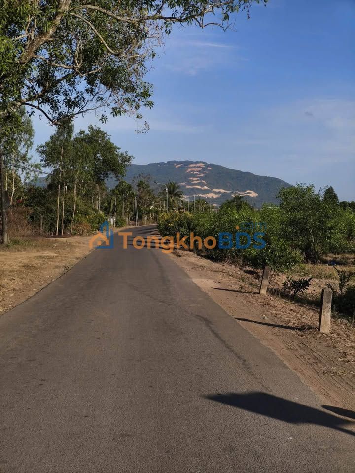 Đất Vàng Long Khánh 193m² - Sổ Riêng Thổ Cư, Giá 550 Triệu