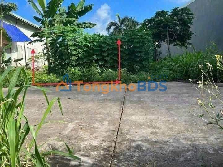 Đất nền Tam Phước Biên Hòa 100m² 1.25 tỷ - Sổ đỏ chính chủ