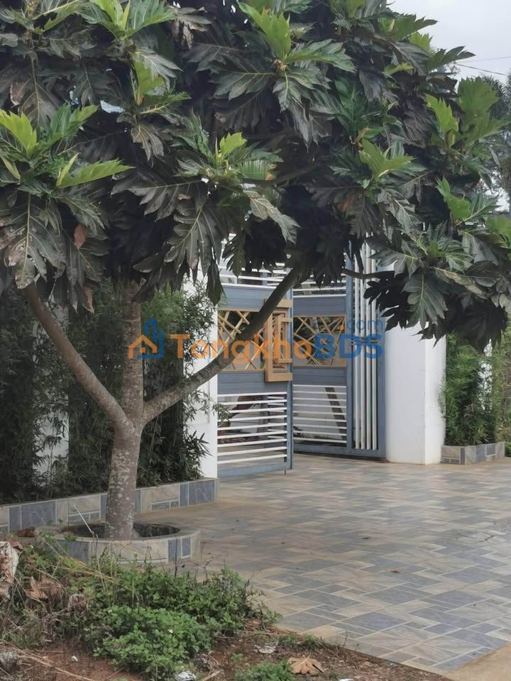 Nhà 400m² Hẻm Lê Đại Hành, Bảo Lâm - 4.5 Tỷ, Sẵn Sàng Vào Ở Ngay