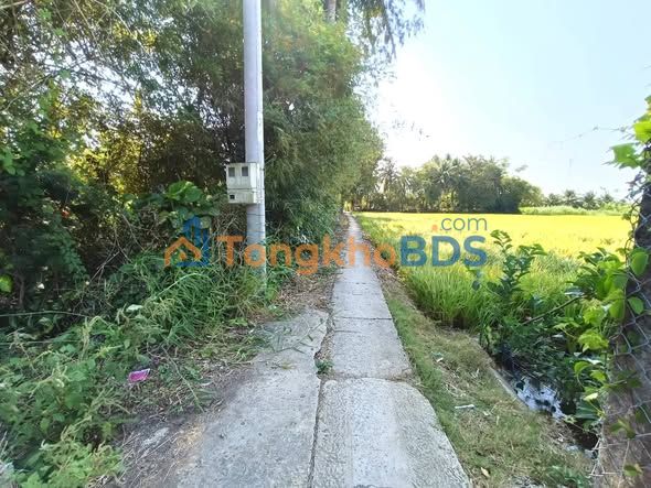 Đất nền Gò Công Tây 125m² 200 triệu - Thổ cư 100%