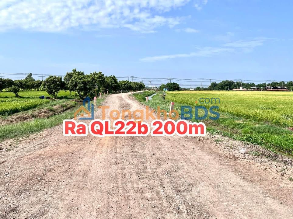 Đất nền Thạnh Đức Gò Dầu 1,8ha 4,5 tỷ - Đường to ô tô