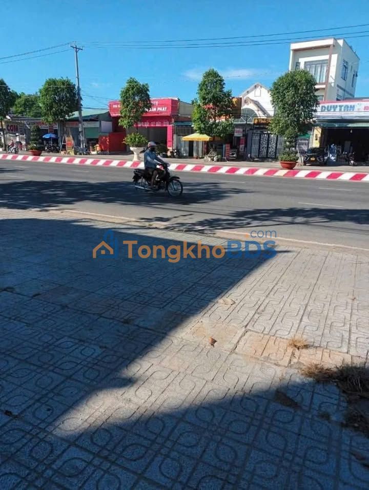 Đất nền Điện Biên Phủ Tây Ninh 256m² 550 triệu - Sổ đỏ chính chủ