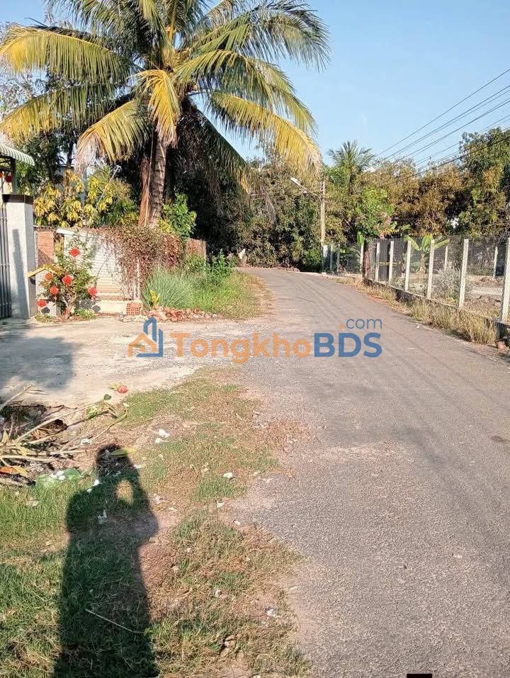 Nhà riêng Thái Bình Châu Thành 315m2 490 triệu - Chính chủ