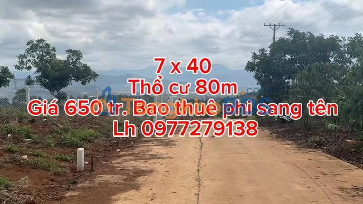 Đất nền Tân Hà 280m² - Giá thỏa thuận, xây dựng tự do