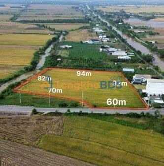 Đất nền Long Bình TL872B 10.000m² 9 tỷ - Sổ đỏ chính chủ