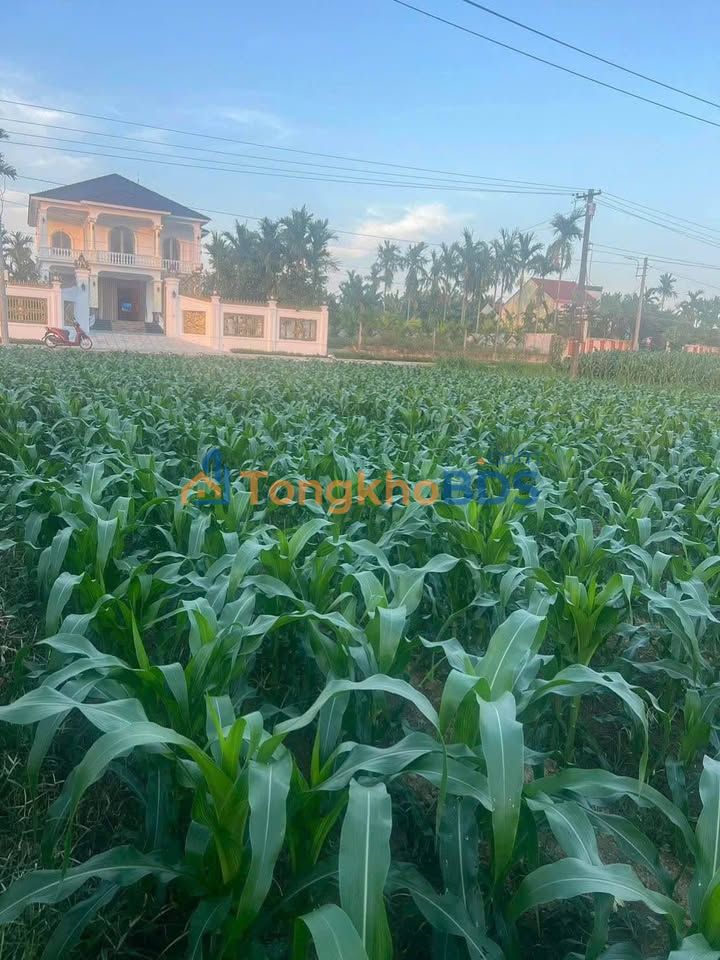 Đất nền Tịnh An Quảng Ngãi 400m² 1xxtr - Sổ đỏ chính chủ