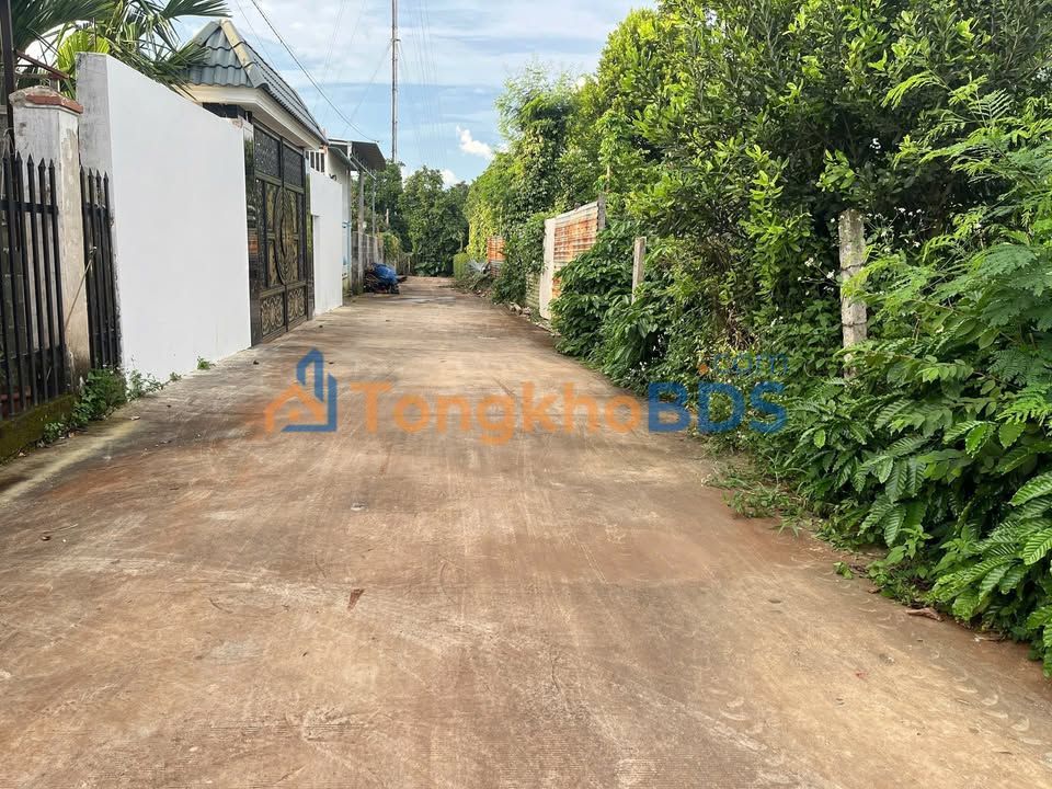 Đất nền 120m² Buôn Ma Thuột, hướng Đông - Giá 1.5 tỷ, gần TL8