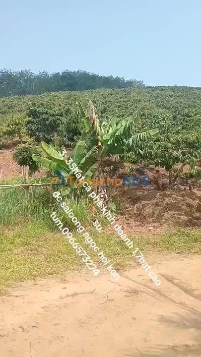 Bán Gấp Đất Vàng Kon Tum 5.5ha - Sẵn Sàng Đầu Tư