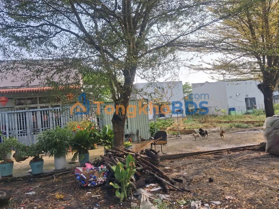 Đất nền 90m² full thổ cư - Khu 3 Tân Định, Bến Cát - Giá 950 triệu