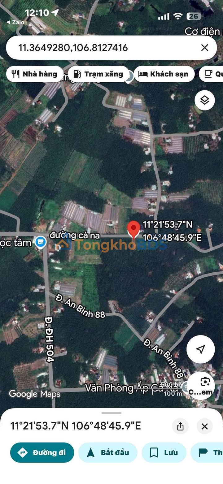 Farm 10.000m² sổ hồng 100% thổ cư, Phú Giáo, Bình Dương - Giá 4.5 tỷ