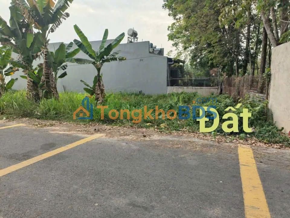 Đất nền Phú An Bến Cát 92m² 1.25 tỷ - Sổ đỏ chính chủ