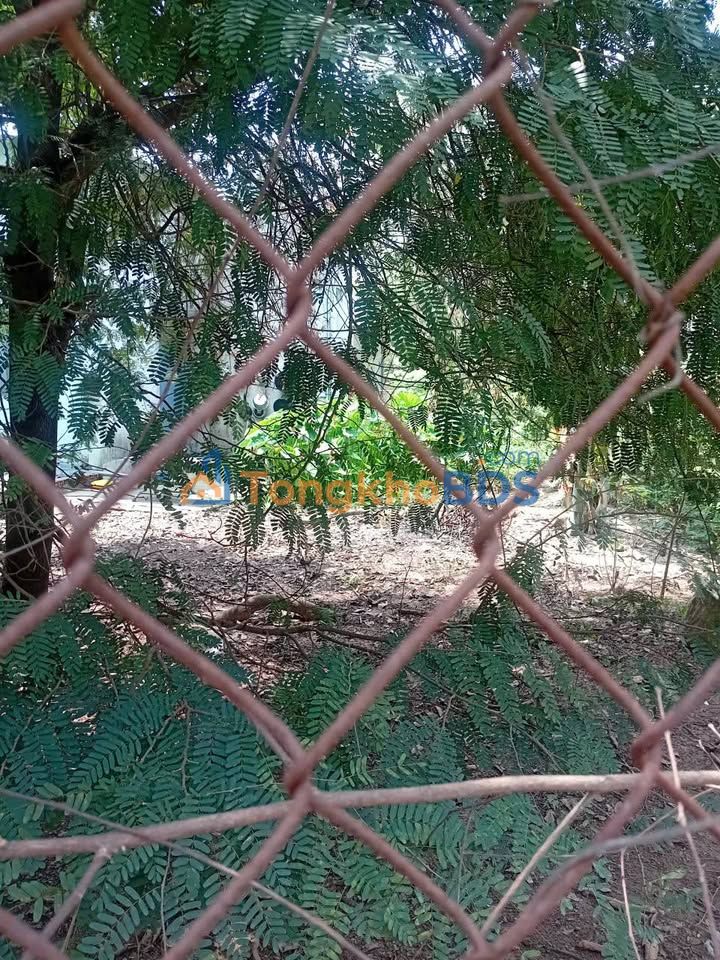 Đất nền Tân Vĩnh Hiệp 100m² Thủ Dầu Một 675 triệu - Pháp lý rõ ràng