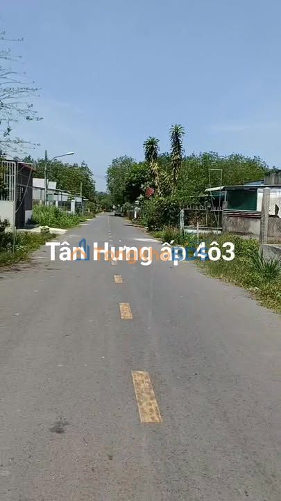 Đất Tân Hưng Bàu Bàng 215m² 1.13 tỷ - Sổ đỏ chính chủ