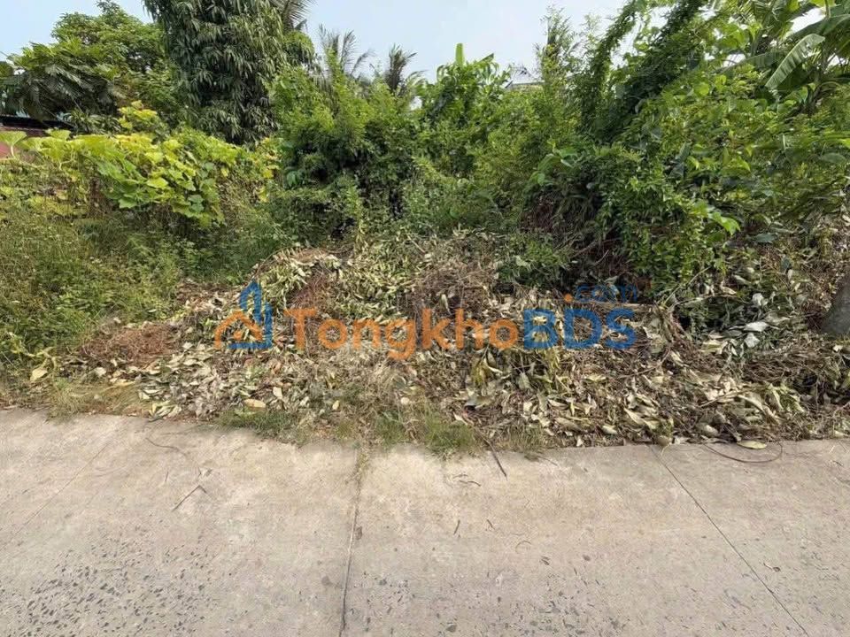 Đất Long Định 283m² 2 tỷ - Sổ đỏ chính chủ hiếm