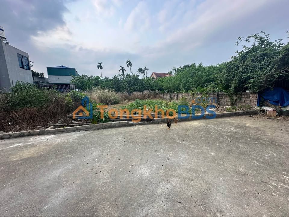 Đất nền Yên Bình Thạch Thất 204m² 408tr - Sổ đỏ chính chủ