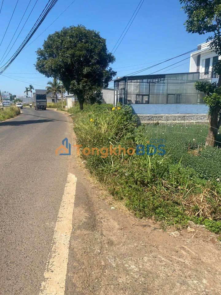 Đất mặt tiền Lê Hồng Phong Đà Lạt 220m² 4 tỷ - Thổ cư 100%