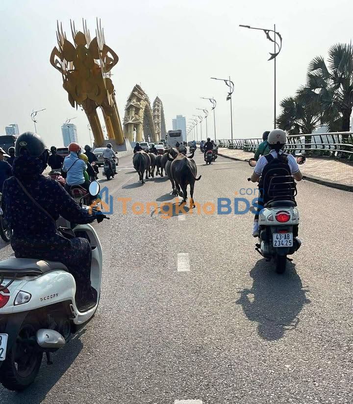 Nhà cấp 4 Ngũ Hành Sơn 71m² 5.006 tỷ - Chính chủ bán