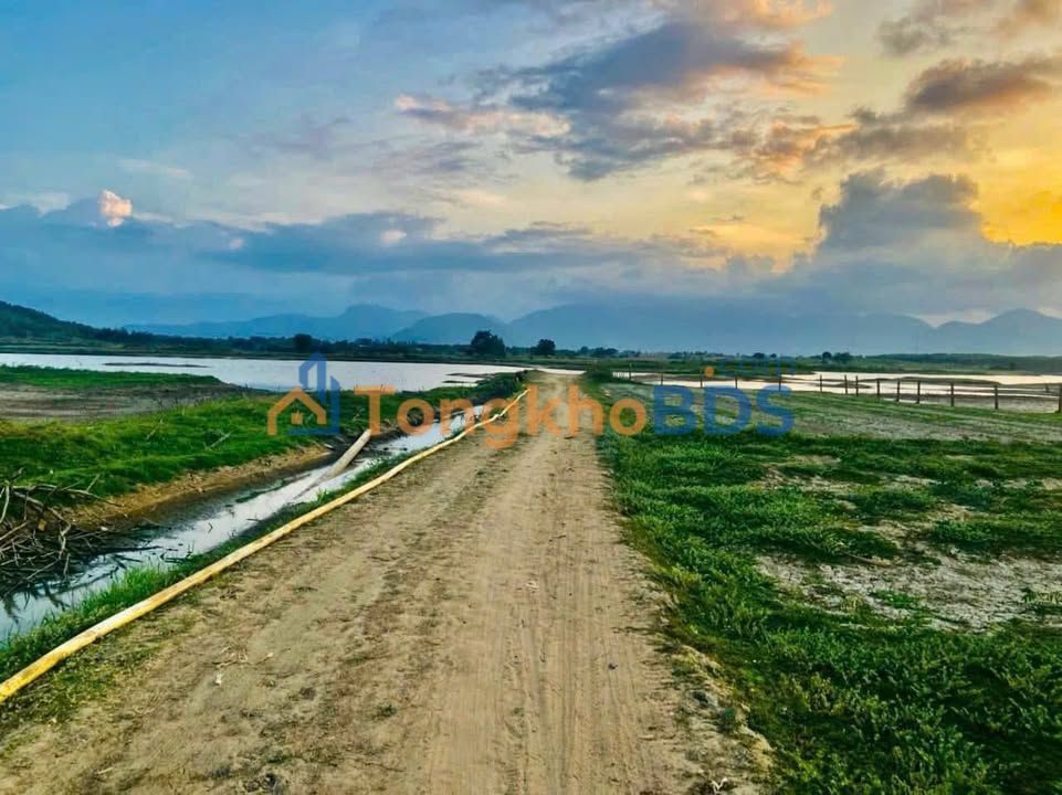 Đất Hồ Suối Trầu Cam Tân 4.498m² 3.5 tỷ - Sổ đỏ chính chủ