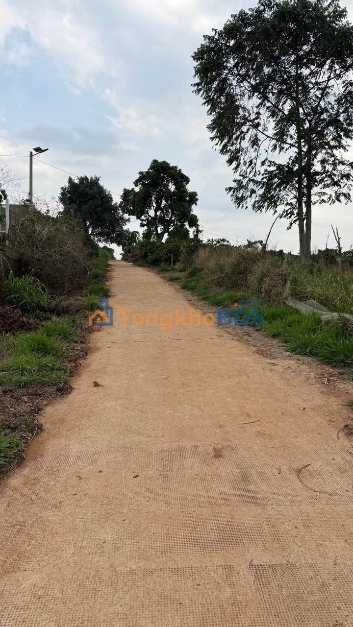 Đất nền Phường Bình Thọ 860m² 1,1 tỷ - Đường to ô tô