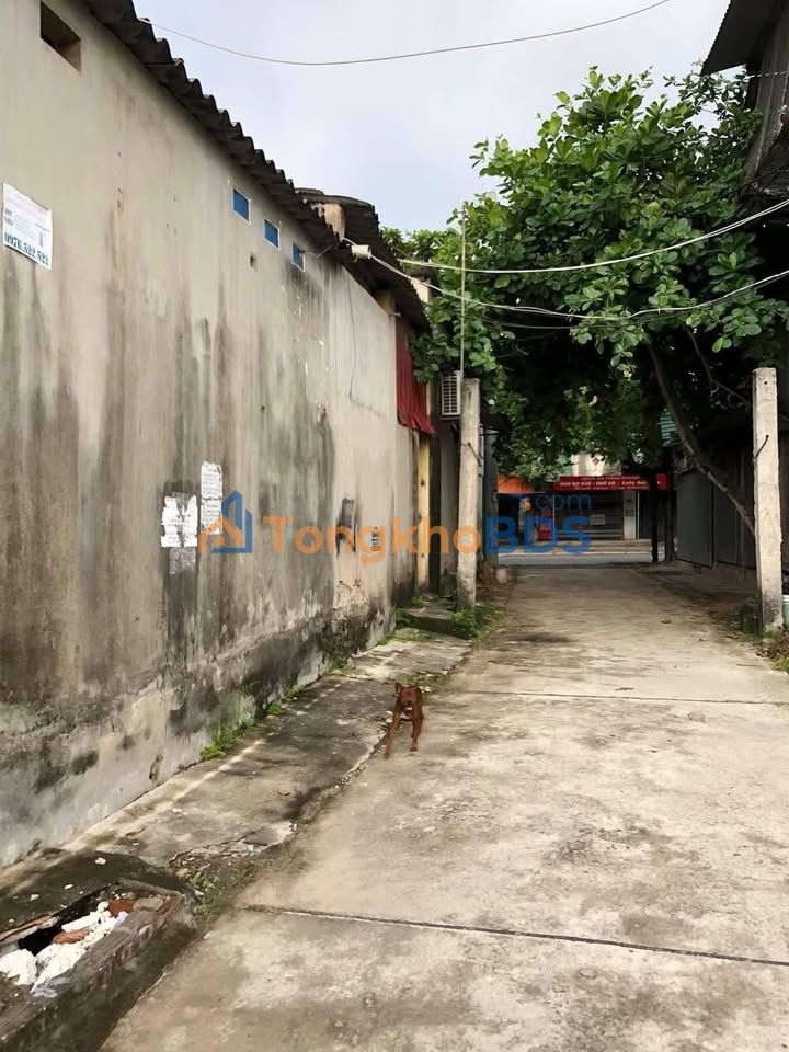 Nhà 93m² Phường Trần Hưng Đạo, Hải Dương - Giá 1 Tỷ, Sẵn Sàng Về Ở